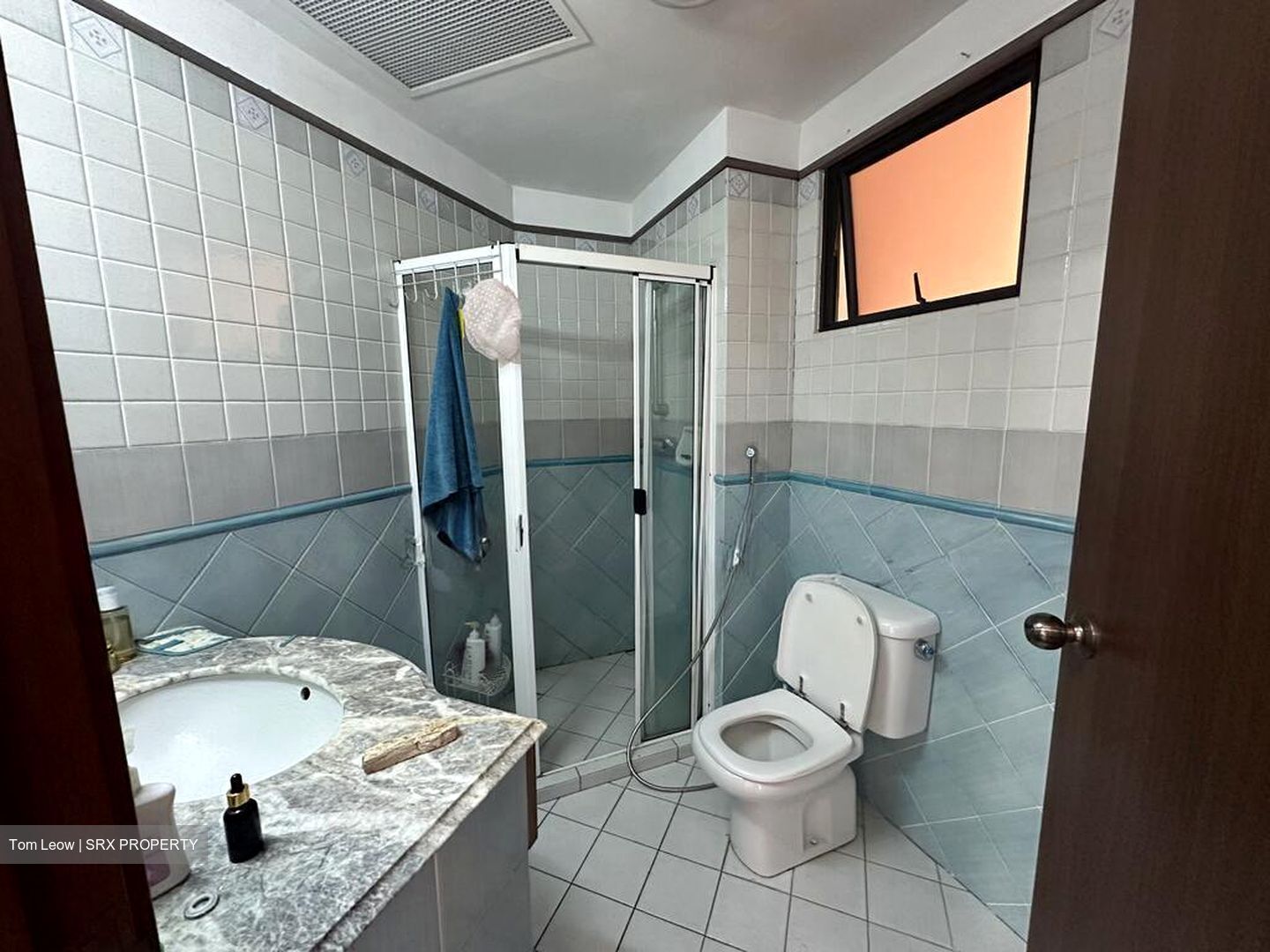 Dover Parkview (D5), Condominium #496306911